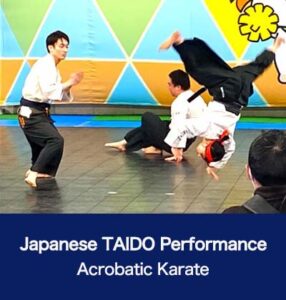 TAIDO Performance