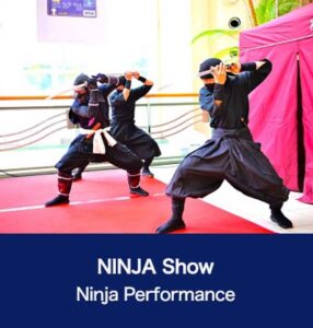 NINJA Show