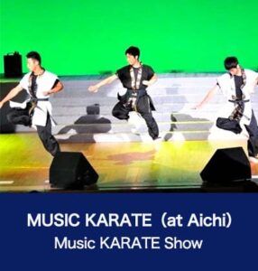 MUSIC KARATE