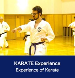 KARATE Experienc