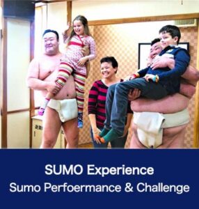 SUMO Experience