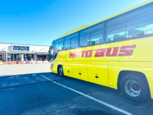 New Year Special Hato Bus Tours3